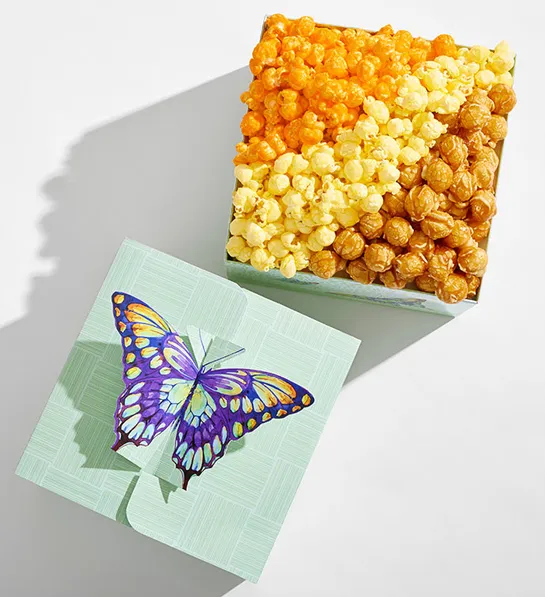 3 Dimensional Butterfly Wishes Gift Box