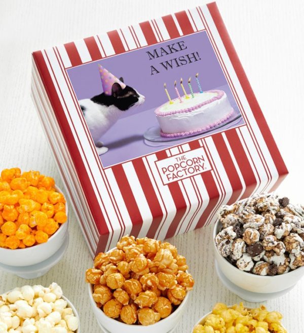 Packed With Pop Birthday Cat Cake Gift Box