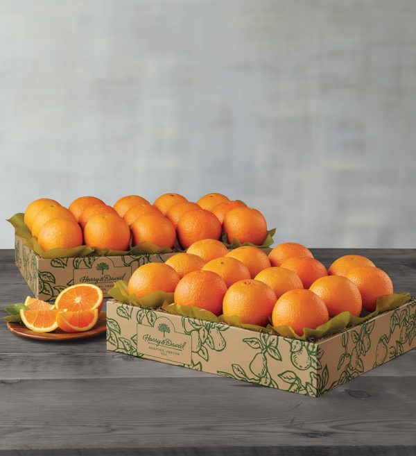 Navel Oranges - Two Trays, Fresh Fruit, Gifts by Harry & David