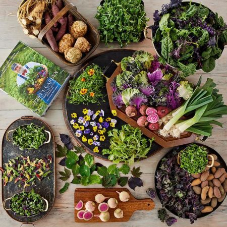 The Chef's Garden Gourmet Vegetable Box With Cookbook, Fresh Vegetables, Gifts by Harry & David