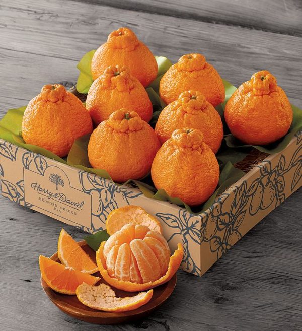 Sumo Citrus® Mandarins, Fresh Fruit, Gifts by Harry & David