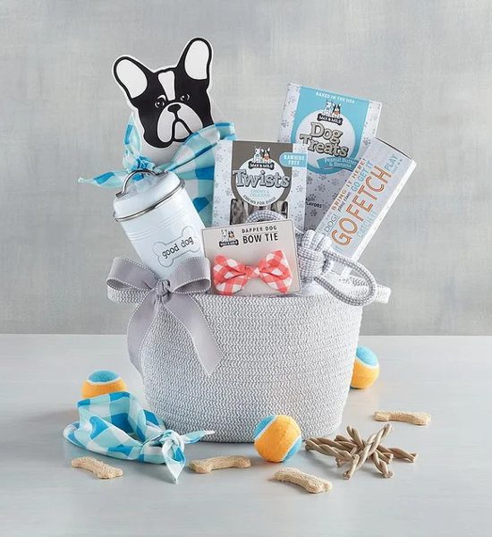 Joyful Playtime Dapper Dog Goodies & Toys Gift Basket