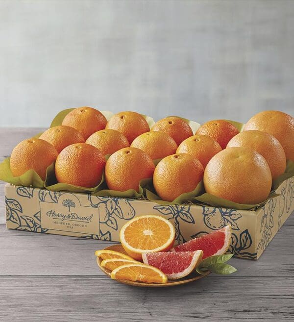 Navel Oranges And Grapefruit - One Tray, Fresh Fruit, Gifts by Harry & David
