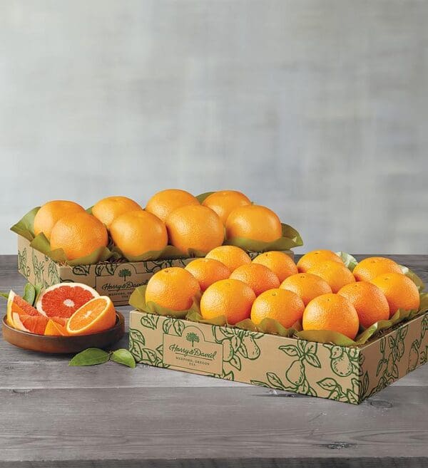 Navel Oranges And Grapefruit - Two Trays, Fresh Fruit, Gifts by Harry & David