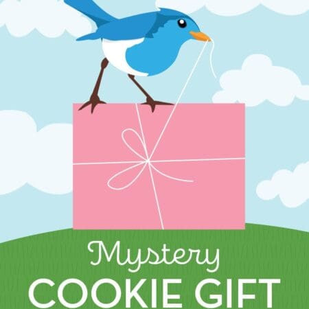 Special Value Mystery Cookie Gift by Cheryl's Cookies