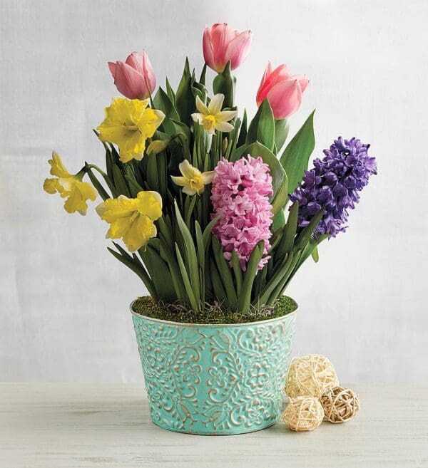 Spring-Themed Bulb Garden, Blooming Plants, Flowers by Harry & David
