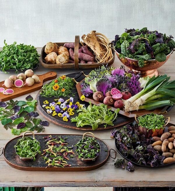 The Chef's Garden Gourmet Vegetable Box, Fresh Vegetables, Gifts by Harry & David