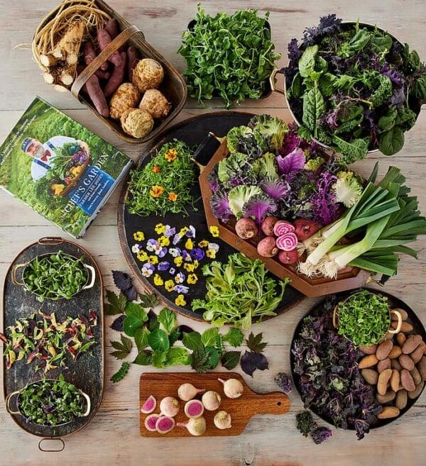 The Chef's Garden Gourmet Vegetable Box With Cookbook, Fresh Vegetables, Gifts by Harry & David