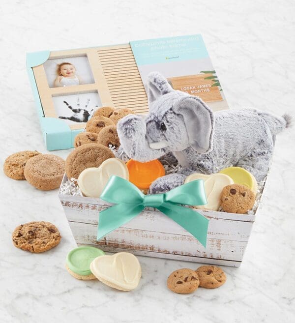 Welcome Baby Bakery Gift Basket And Keepsakes by Cheryl's Cookies