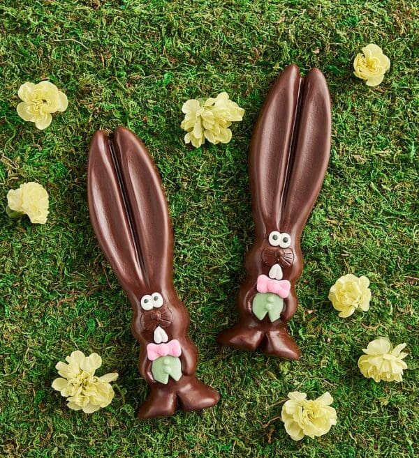 Mr. Ears The Chocolate Easter Bunny Duo, Sweets by Harry & David
