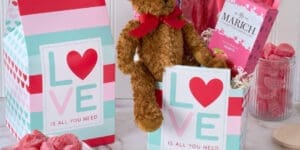 Celebrate Love Valentine's Day Chocolate and Teddy Bear Gift Basket