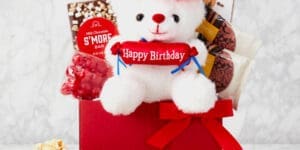 Happy Birthday Celebration Brownie Cookies Teddy Bear Gift Basket