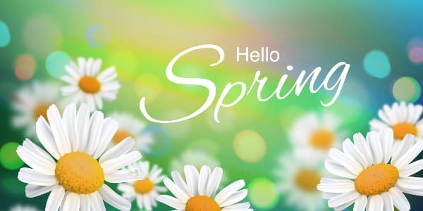 hello spring